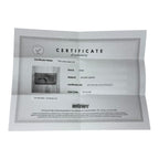 Paddington Wallet Luxury Designer By Chloe, Size: Medium