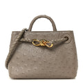 Ostrich Mini Andiamo Shoulder Bag Limestone