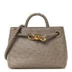 Ostrich Mini Andiamo Shoulder Bag Limestone