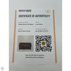 Wallet Luxury Designer By Louis Vuitton, Size: Large