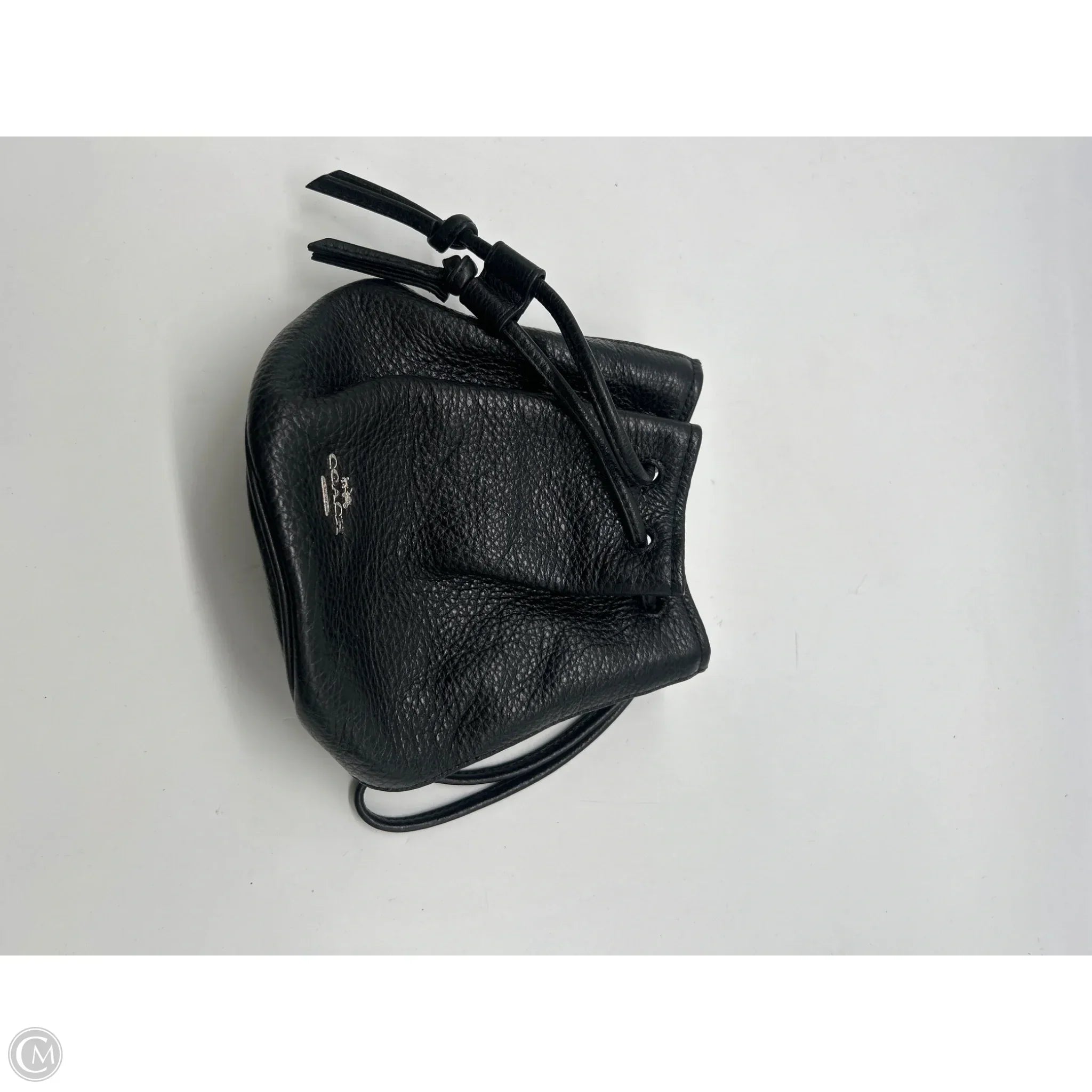 Wristlet Designer By Coach, Size: Large