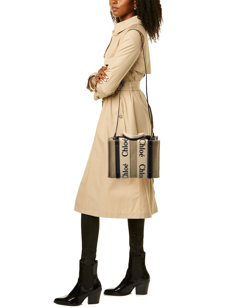 Chloé Woody Small Canvas & Leather Tote, Os, Blue