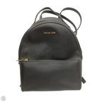 Backpack Designer By Michael Kors, Size: Large