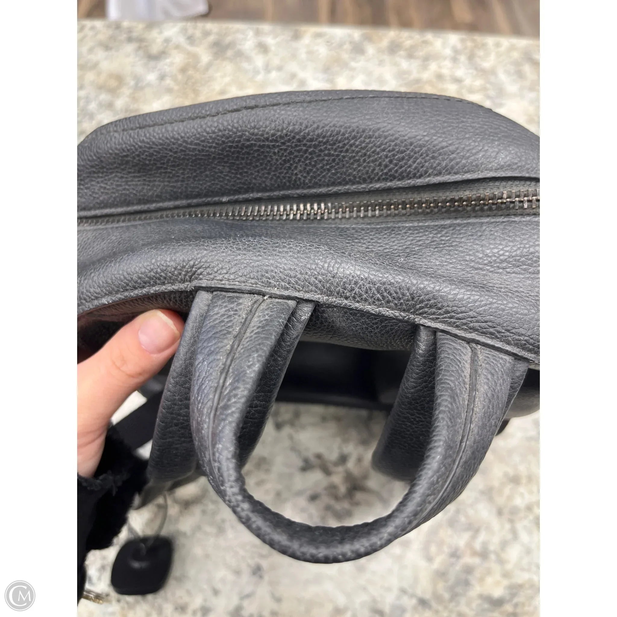 Backpack Designer By Coach, Size: Medium