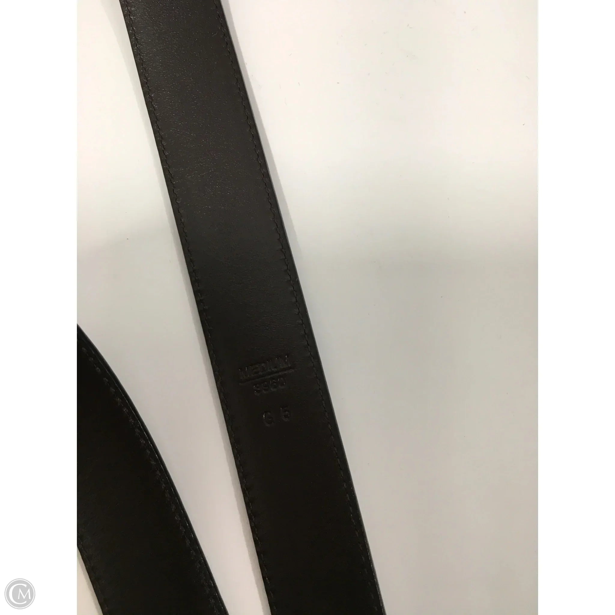 Belt Bag Designer By Coach, Size: Medium