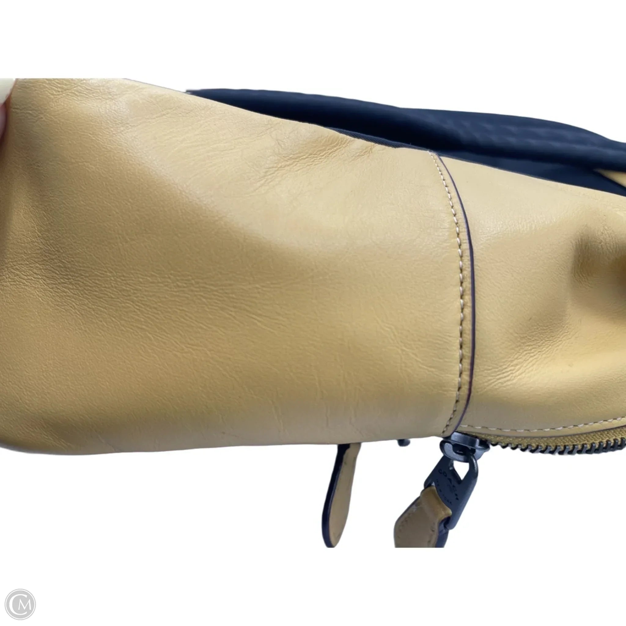 Backpack Designer By Coach, Size: Medium
