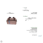 Handbag Luxury Designer By Louis Vuitton, Size: Medium