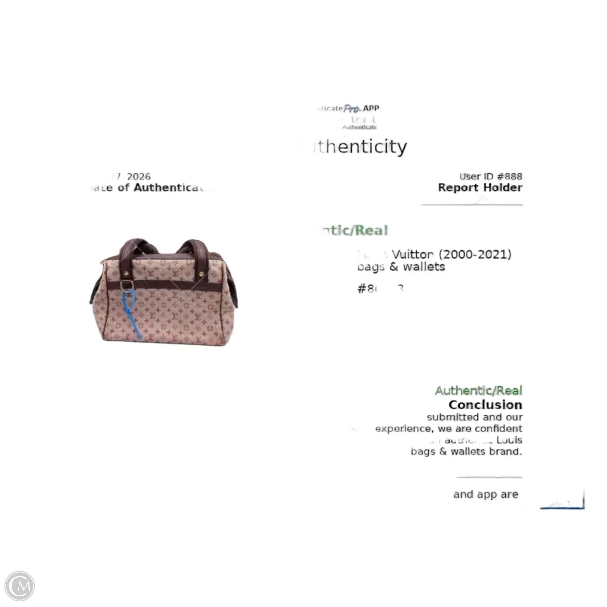 Handbag Luxury Designer By Louis Vuitton, Size: Medium