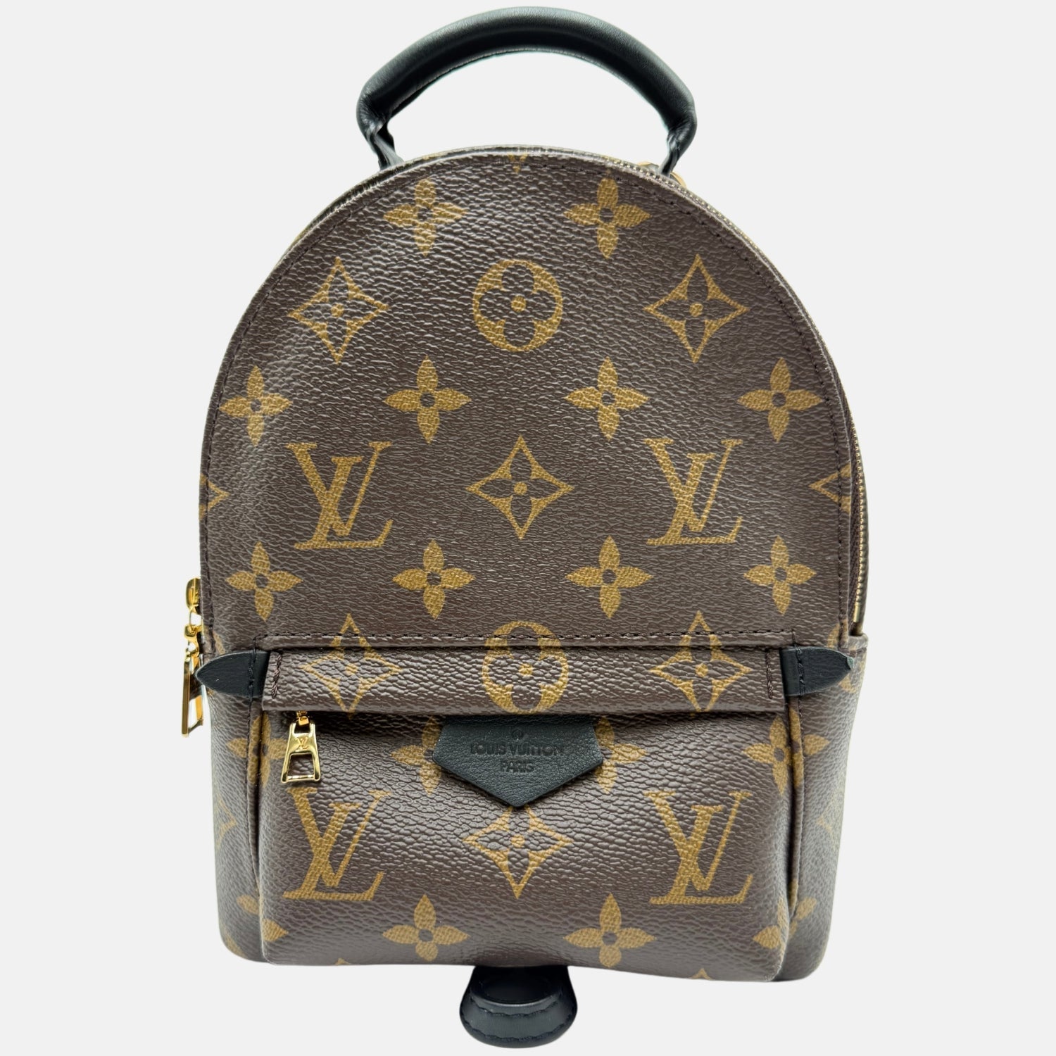 Palm Springs Backpack Monogram Canvas Mini