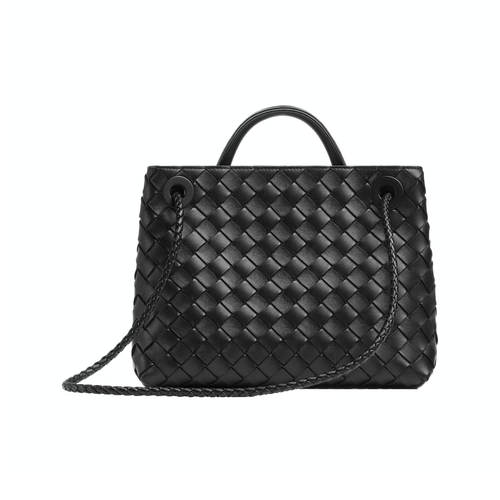 Bottega Veneta 'Small Andiamo' Handbag