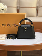 LOUIS VUITTON CAPUCINES MINI
