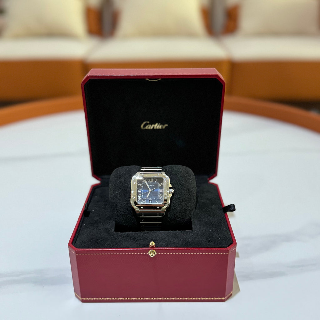 CARTIER SANTOS WSSA0030 (JUNE 2024 WARRANTY)