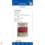 Wallet Luxury Designer By Chanel, Size: Large