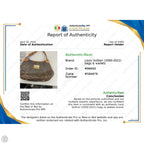 Handbag Luxury Designer By Louis Vuitton, Size: Large