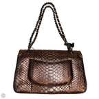 Crossbody Luxury Designer By Chanel, Size: Medium