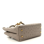 Ostrich Mini Andiamo Shoulder Bag Limestone