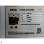 Handbag Luxury Designer By Louis Vuitton