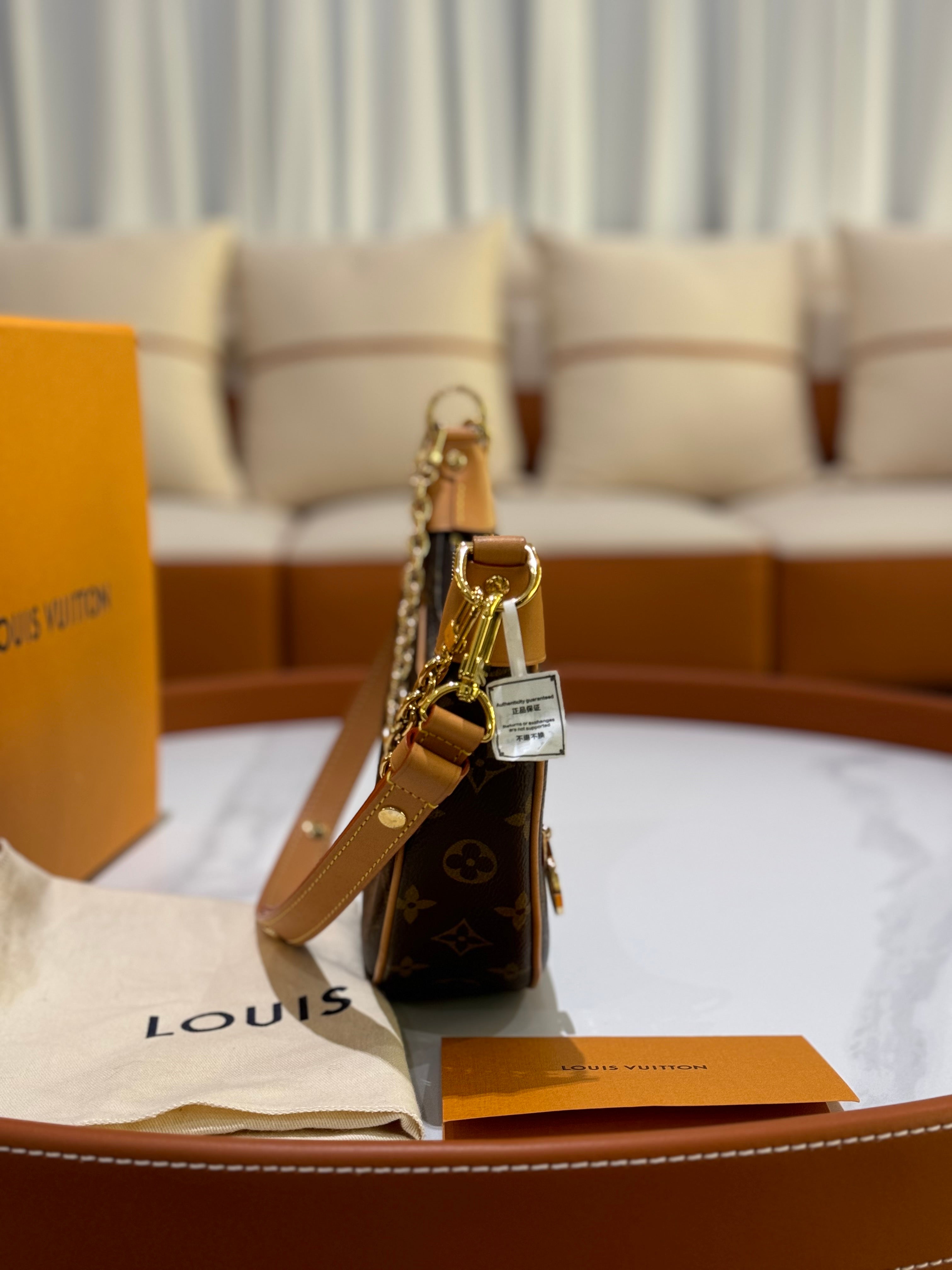 LOUIS VUITTON LOOP PEA POD BAG