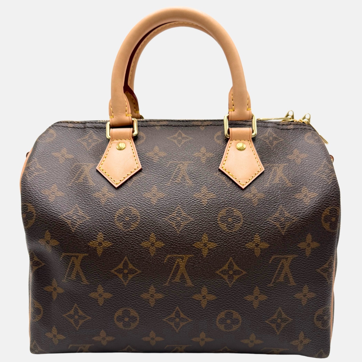 Speedy 25 Monogram Canvas and Vachetta Leather