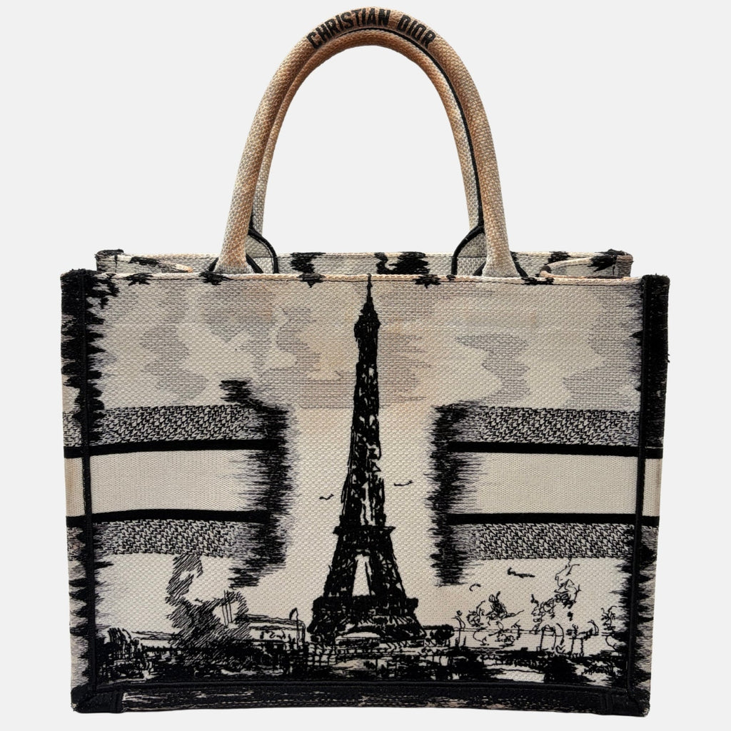 Book Tote Medium Paris Embroidered Canvas