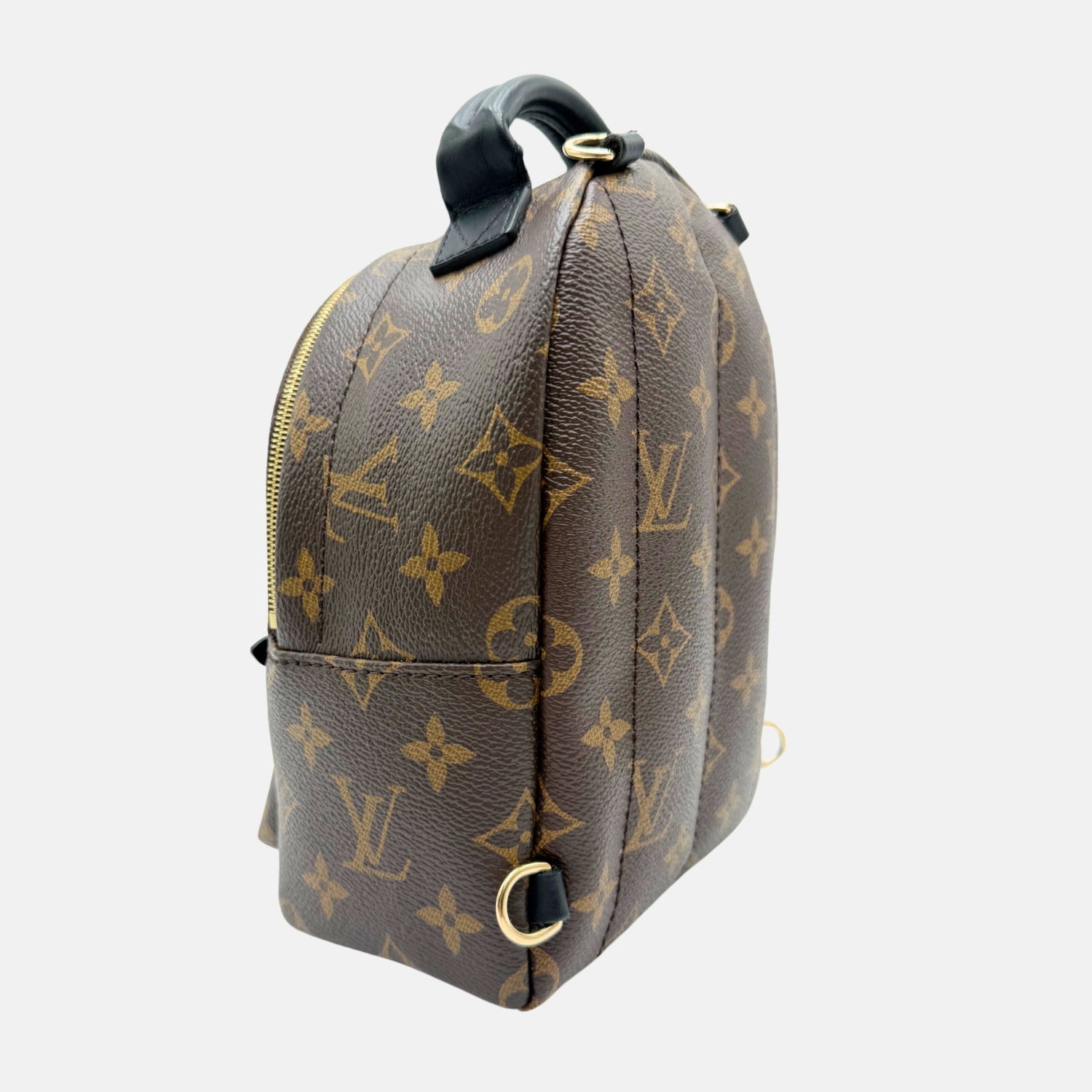 Palm Springs Backpack Monogram Canvas Mini