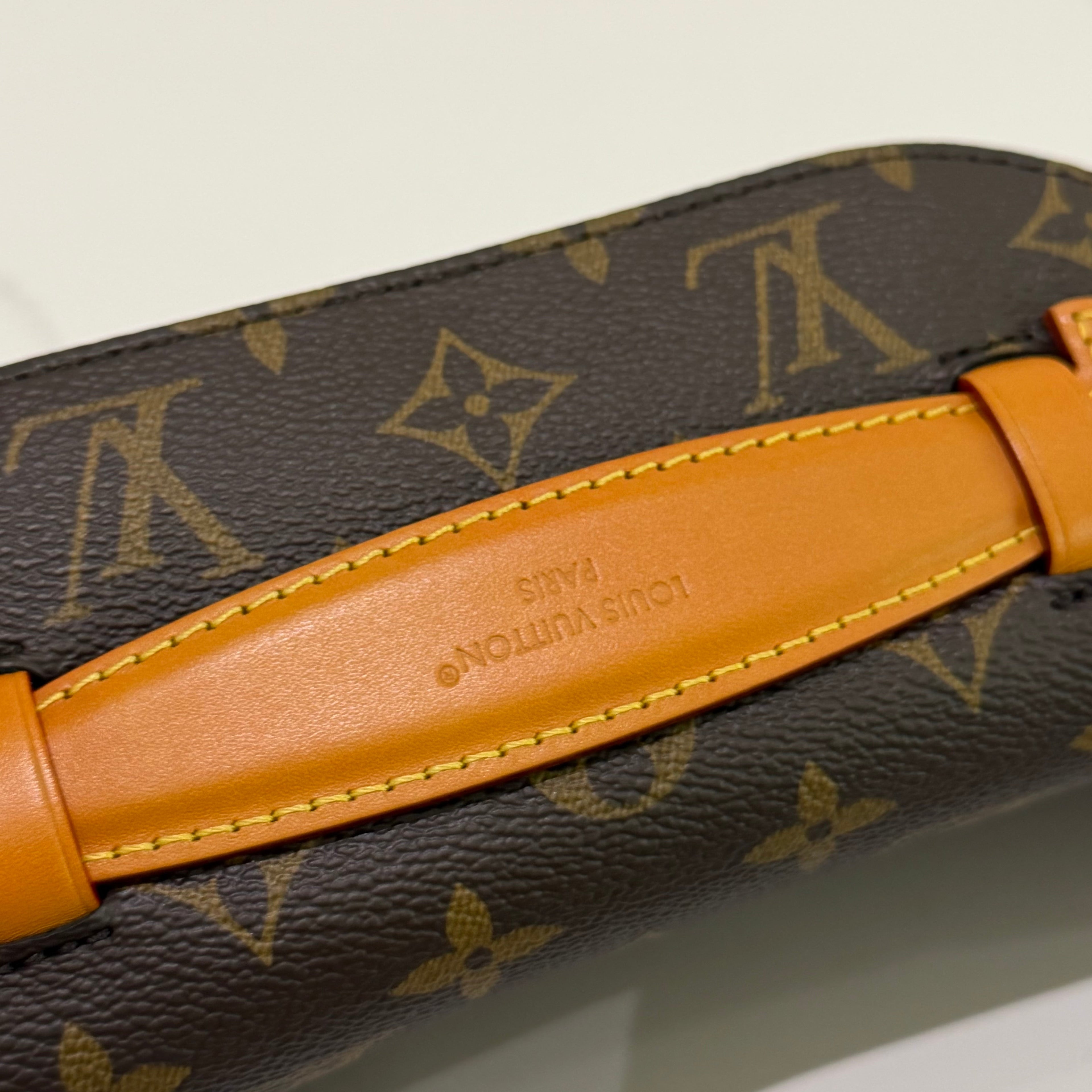 Louis Vuitton Monogram Rush Shoulder Crossbody Bag (Chip Model)