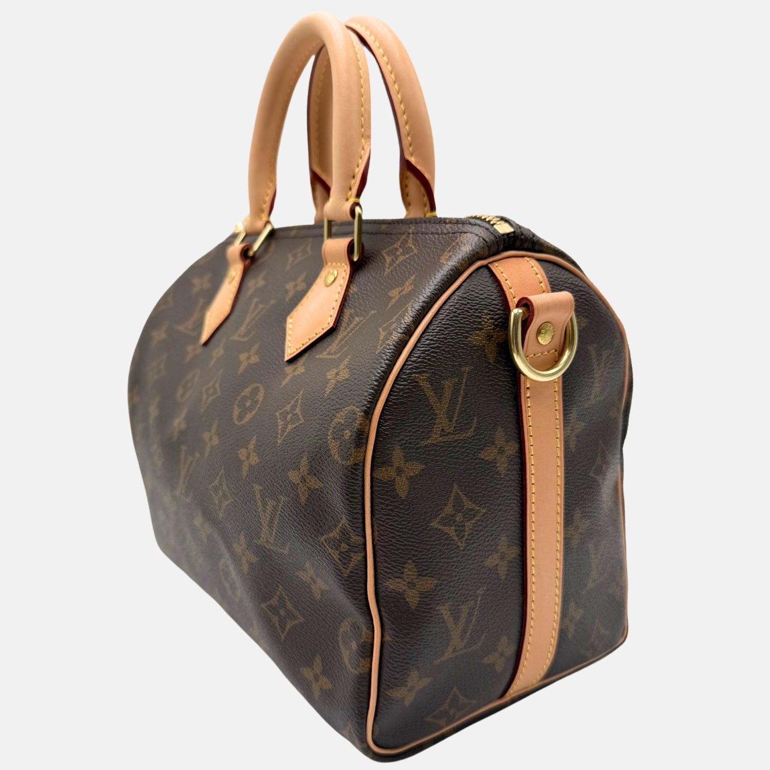 Speedy 25 Monogram Canvas and Vachetta Leather