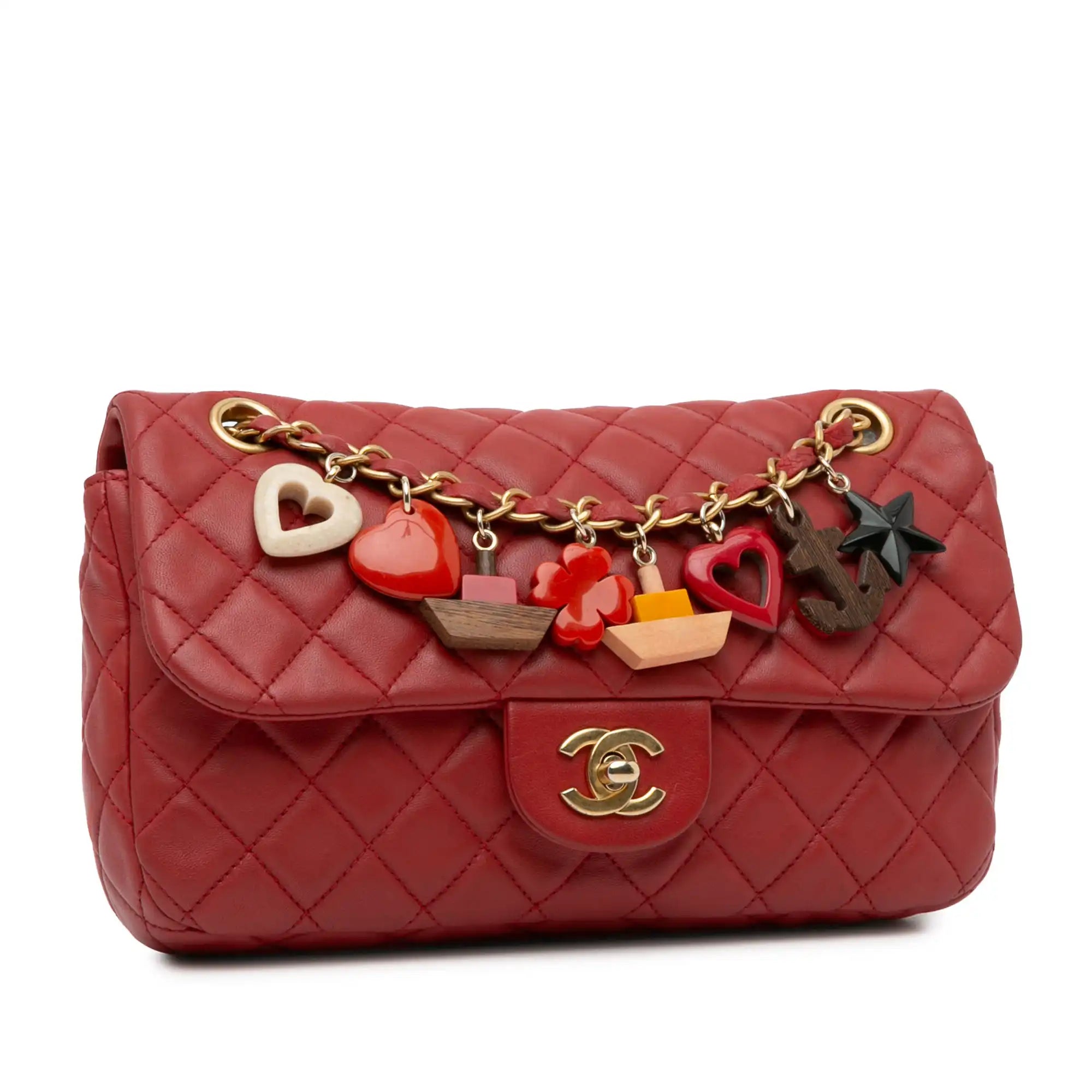 Chanel Classic Flap Cruise Charm Medium Bag