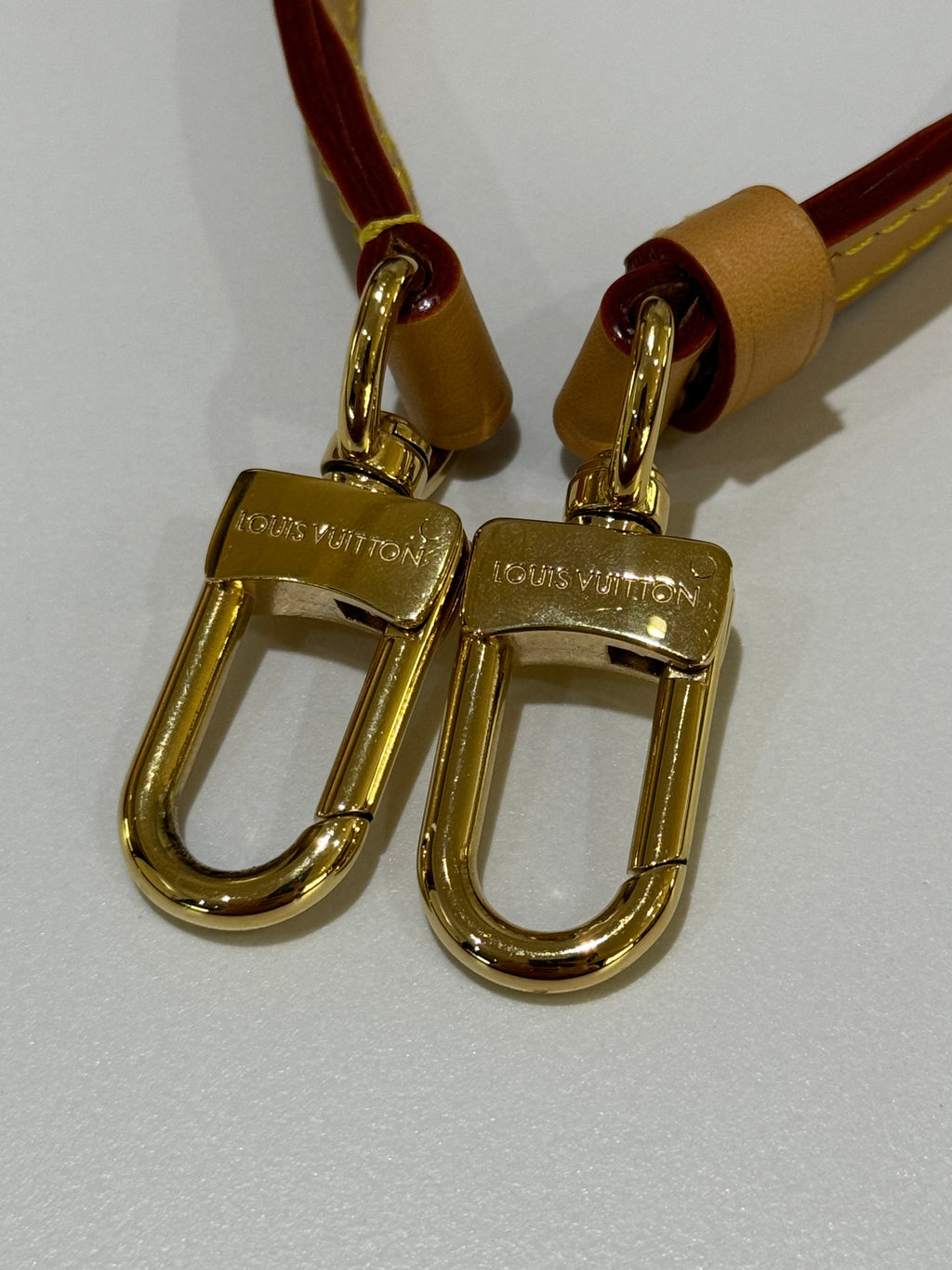 LOUIS VUITTON SPEEDY NANO