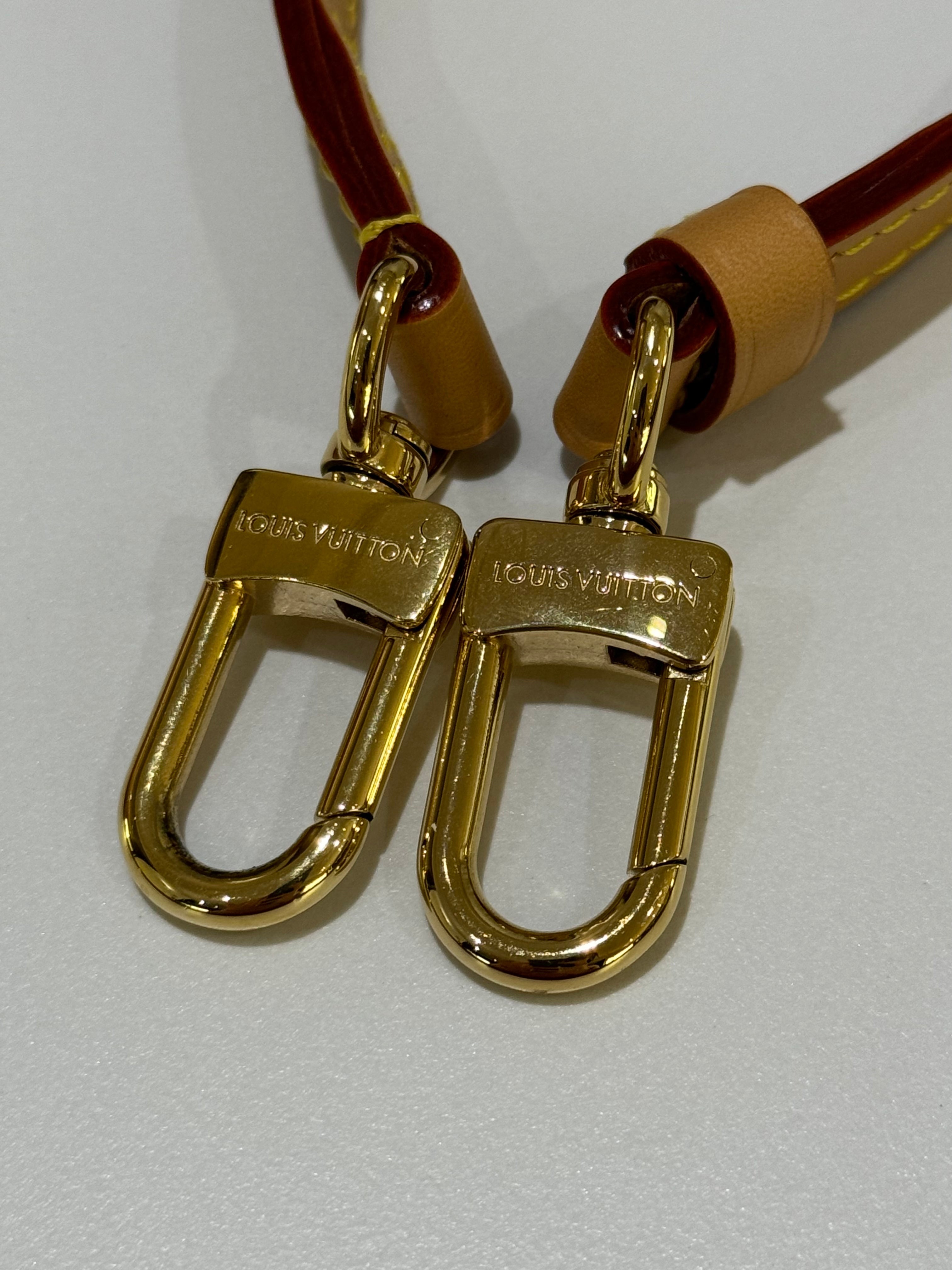 LOUIS VUITTON SPEEDY NANO