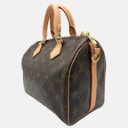 Speedy 25 Monogram Canvas and Vachetta Leather