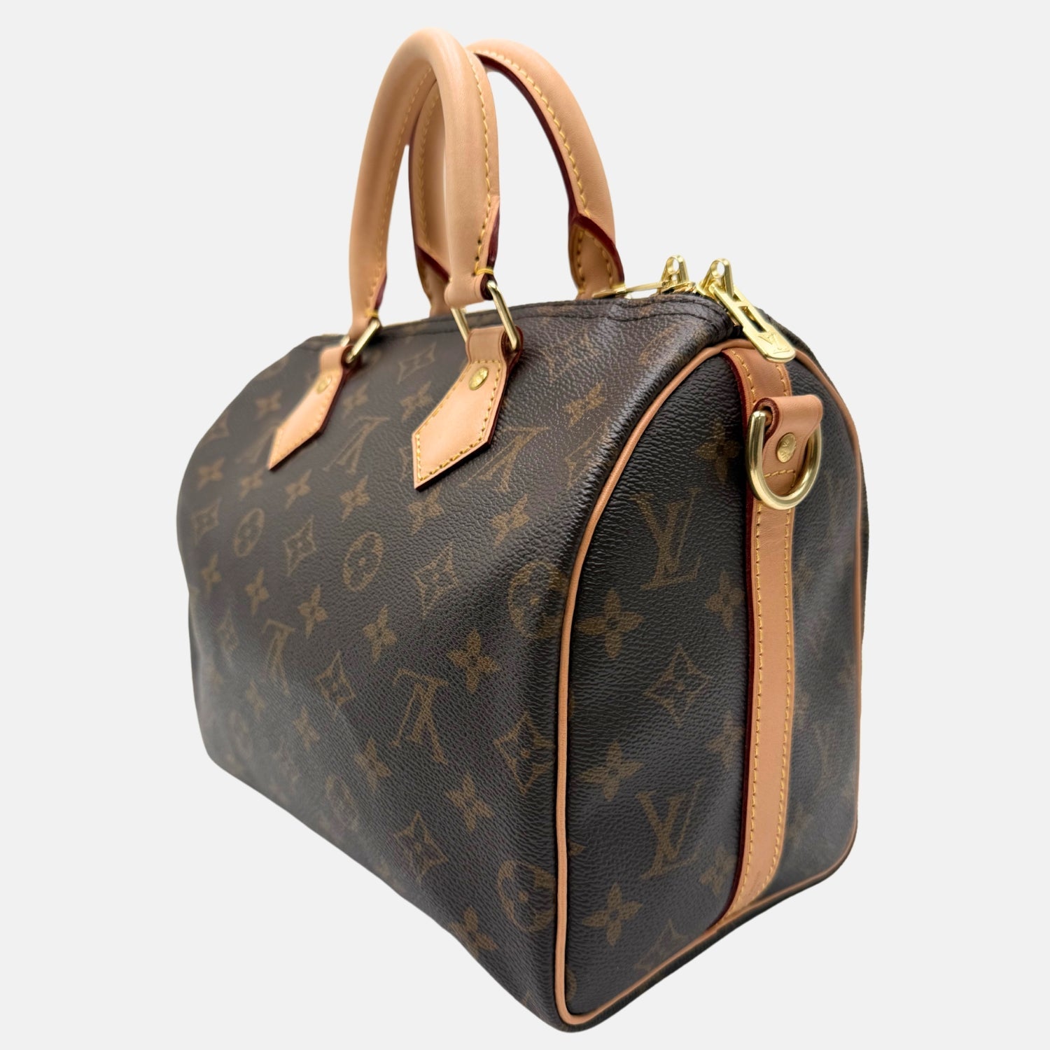 Speedy 25 Monogram Canvas and Vachetta Leather