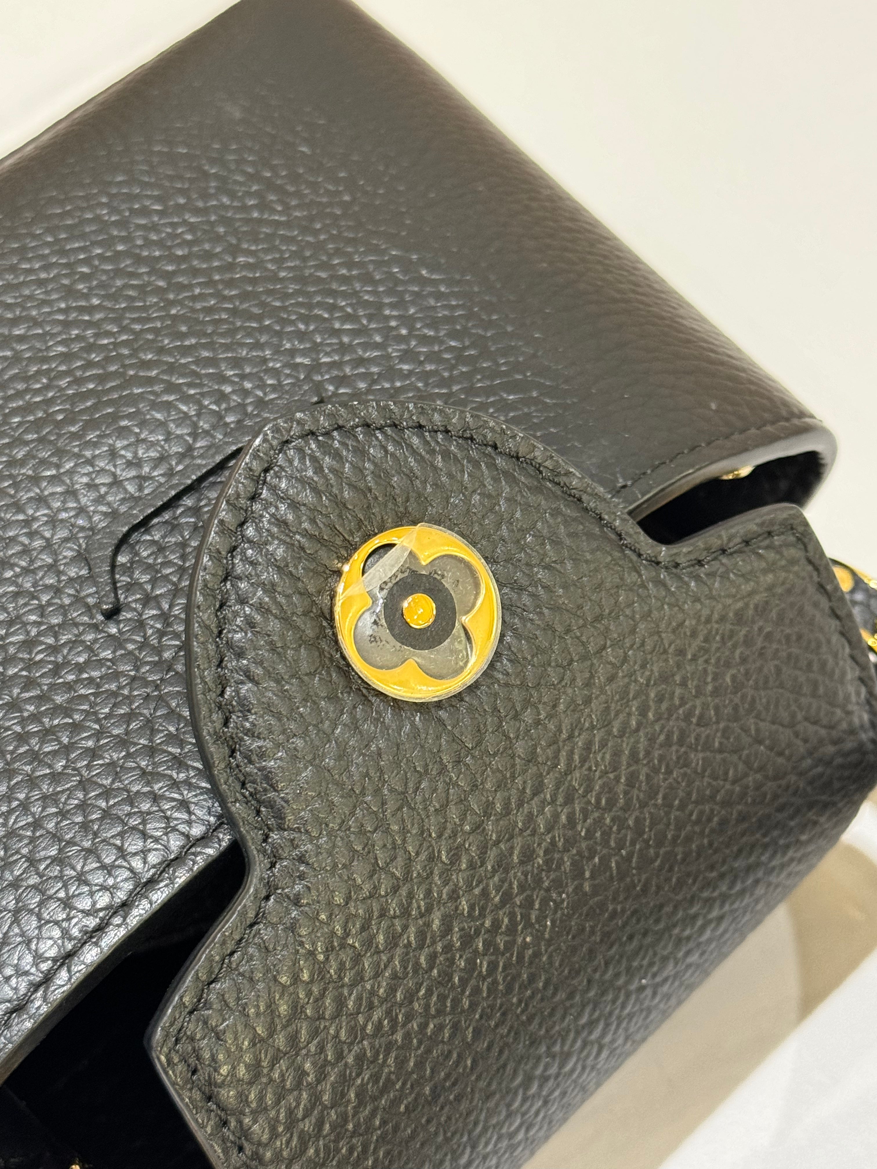 LOUIS VUITTON CAPUCINES MINI