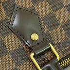 Louis Vuitton Speedy 30 Damier Ebene Top Handle Bag