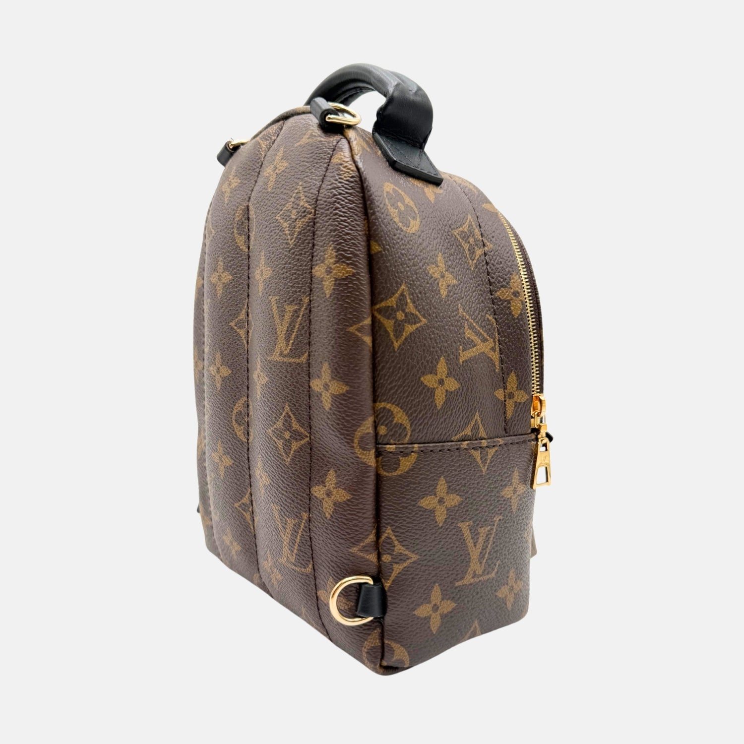 Palm Springs Backpack Monogram Canvas Mini