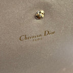 DIOR DIORAMA STUDDED SHIELD CHAIN SHOULDER & CROSSBODY BAG