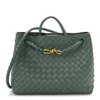 Nappa Intrecciato Medium Andiamo Shoulder Bag Aloe