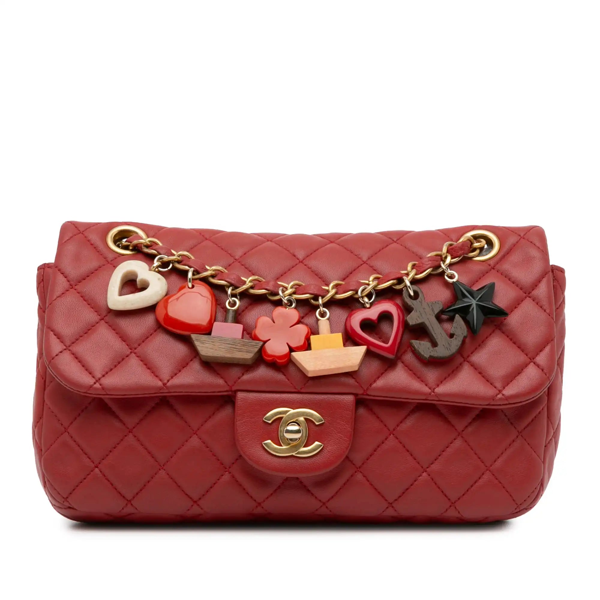 Chanel Classic Flap Cruise Charm Medium Bag
