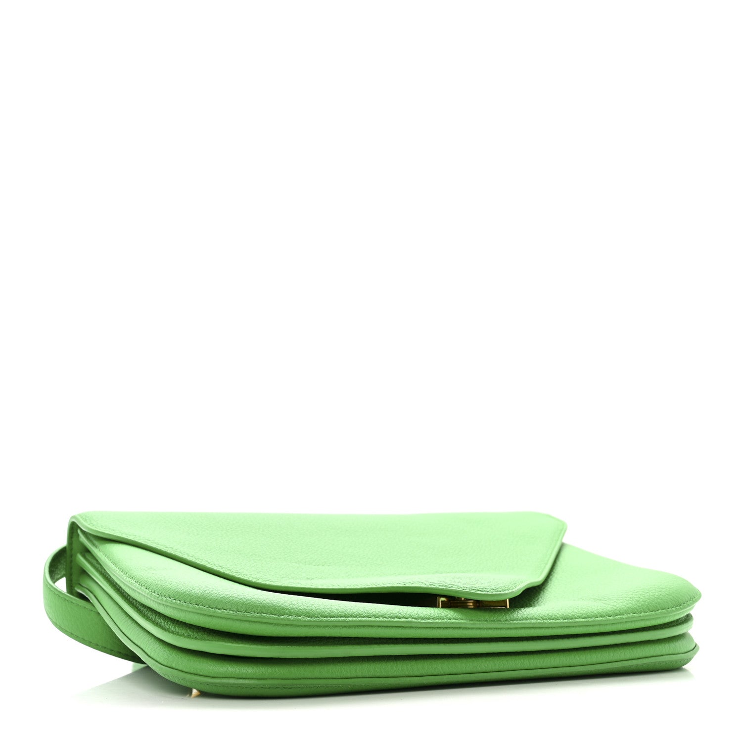 Calfskin Mount Envelope Bag Parakeet