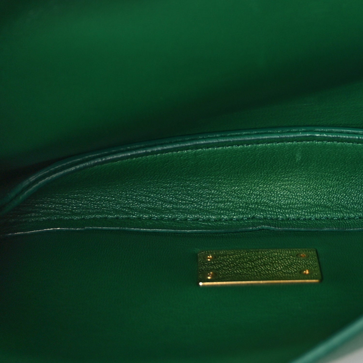 Calfskin Mount Envelope Bag Jungle