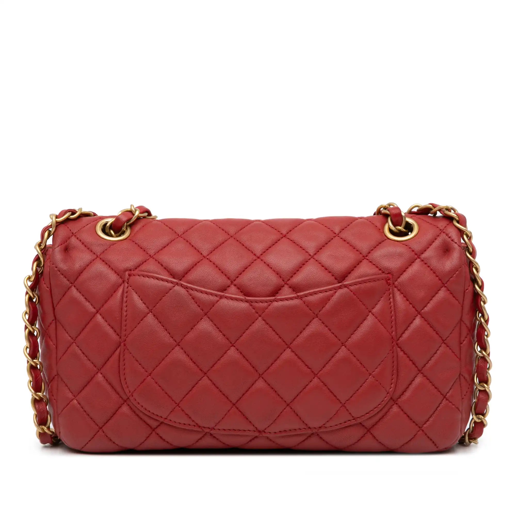 Chanel Classic Flap Cruise Charm Medium Bag