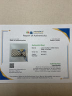 Wallet Luxury Designer By Louis Vuitton In Checkered Pattern, Size:Medium