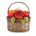 Mary Frances Apple Orchard Top Handle Bag Red Gold Basket Handbag Beige Purse NEW