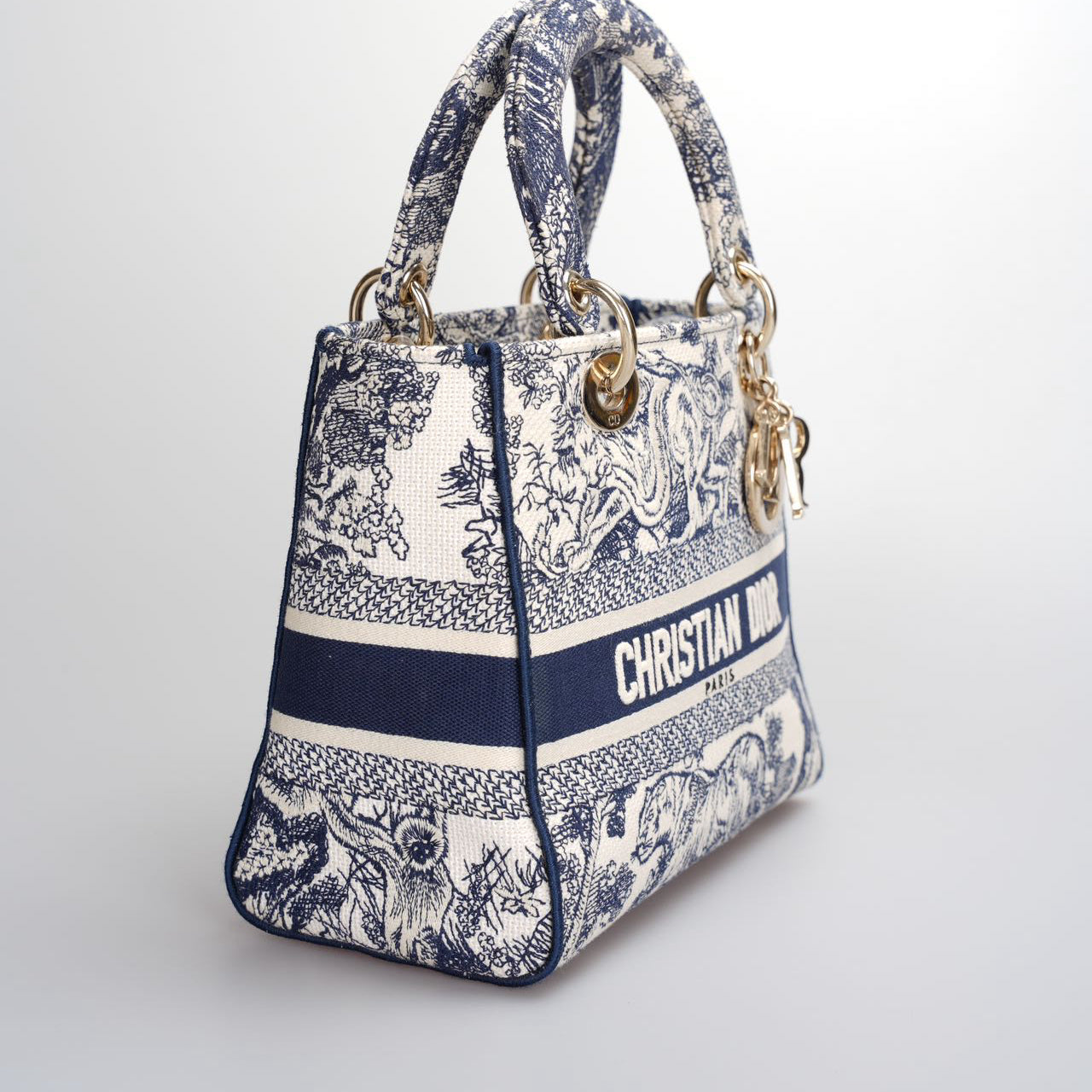 Christian Dior Lady Dior D-Lite Bag Medium in Canvas
