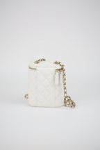 CHANEL Caviar calfskin camera bag