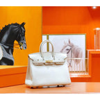 Hermes Birking Bag BG0525265
