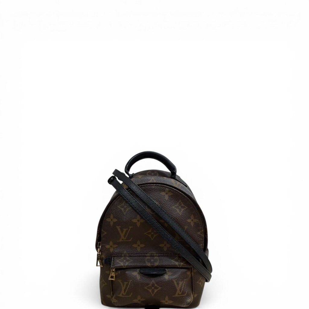 Louis Vuitton Palm Springs Monogram Backpack Monogram Mini