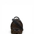 Louis Vuitton Palm Springs Monogram Backpack Monogram Mini