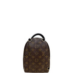 Louis Vuitton Palm Springs Monogram Backpack Monogram Mini