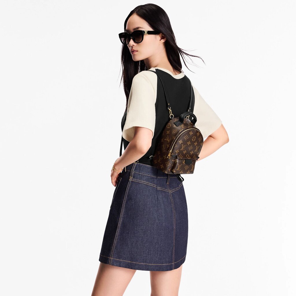 Louis Vuitton Palm Springs Monogram Backpack Monogram Mini